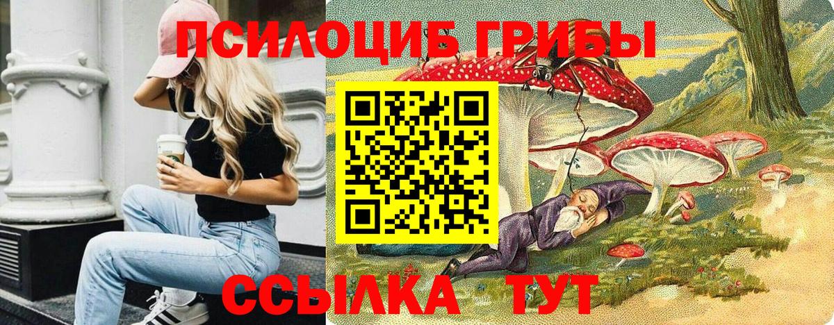 Саратов  Псилоцибиновые грибы мухоморы  Вход с VPN 