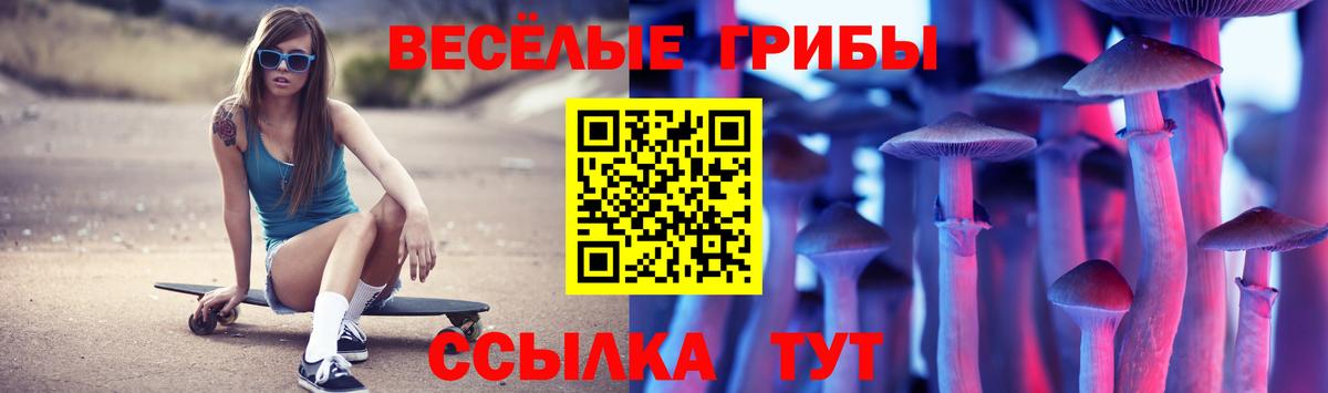 Псилоцибиновые грибы ЛСД Саратов
